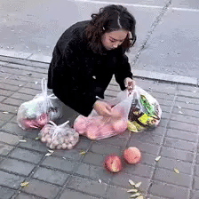Bolso con ruedas cargado con compras del supermercado